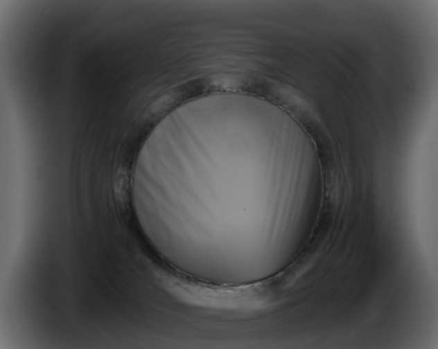X0000085790036200703231317