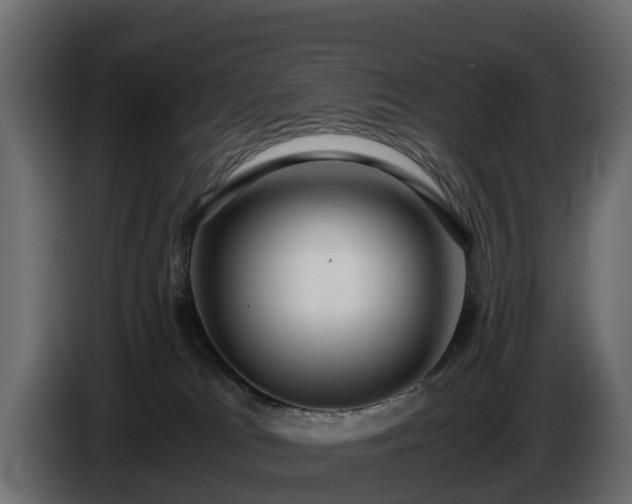 X0000085790037200703231317