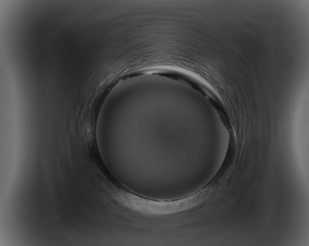 X0000085790039200703231317