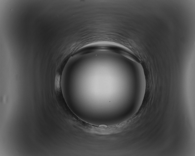 X0000085790041200703231317