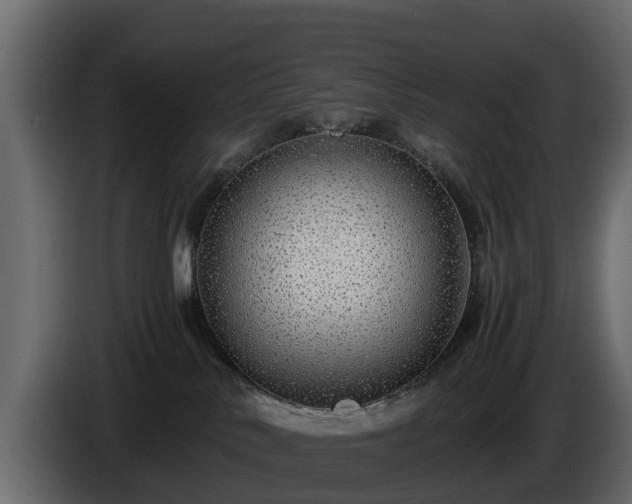 X0000085790042200703231317