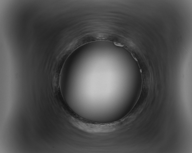 X0000085790044200703231317