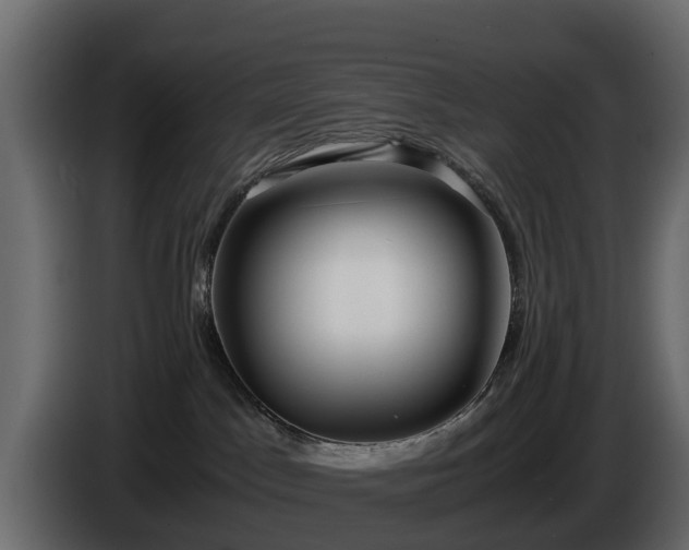 X0000085790045200703231317