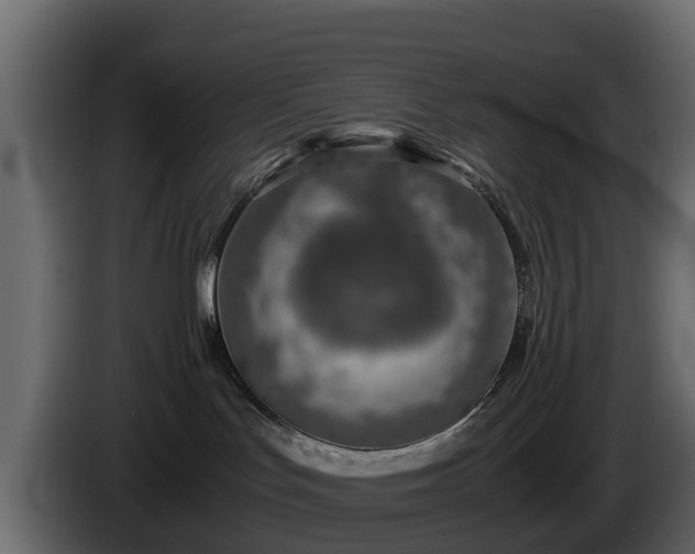 X0000085790047200703231317
