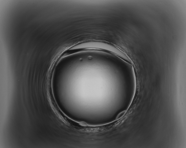 X0000085790049200703231317