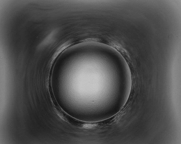 X0000085790051200703231317