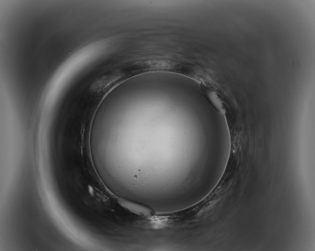X0000085790052200703231317