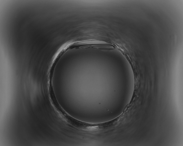 X0000085790054200703231317