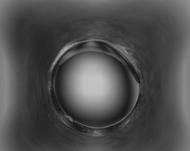 X0000085790056200703231317