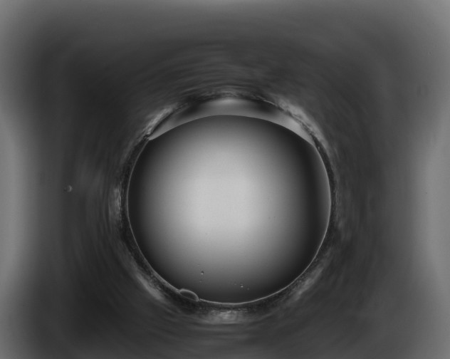 X0000085790057200703231317