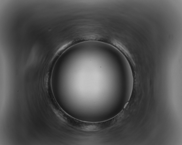 X0000085790058200703231317