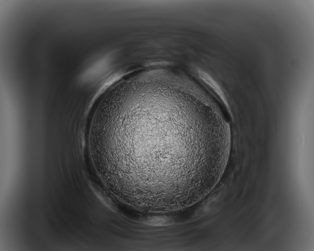 X0000085790059200703231317