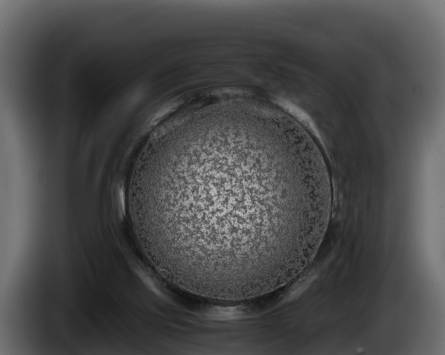 X0000085790061200703231317