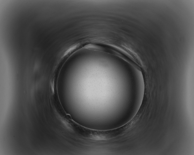 X0000085790062200703231317