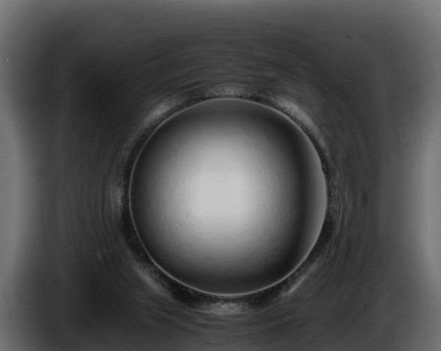 X0000085790063200703231317