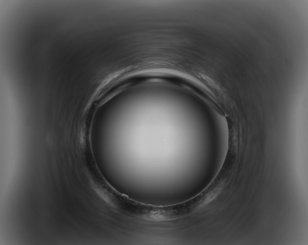 X0000085790064200703231317