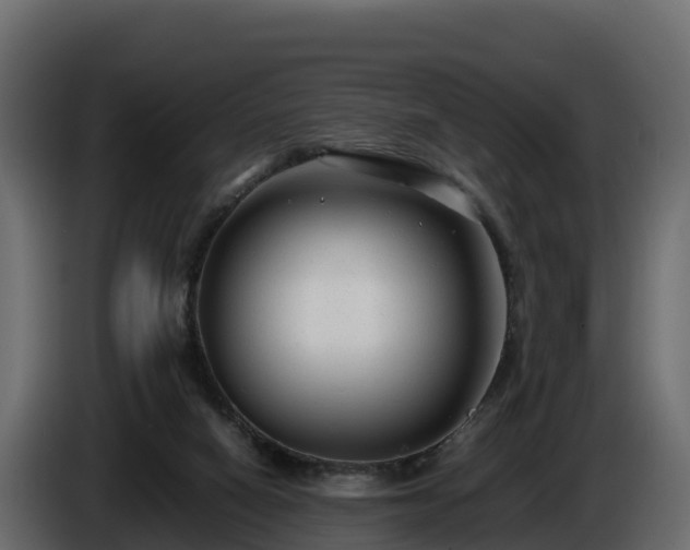 X0000085790066200703231317
