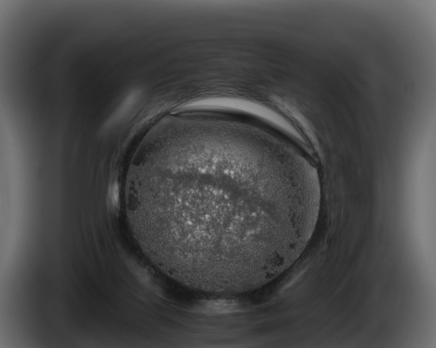 X0000085790067200703231317