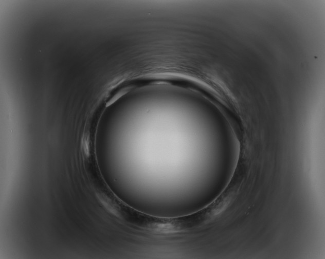 X0000085790068200703231317