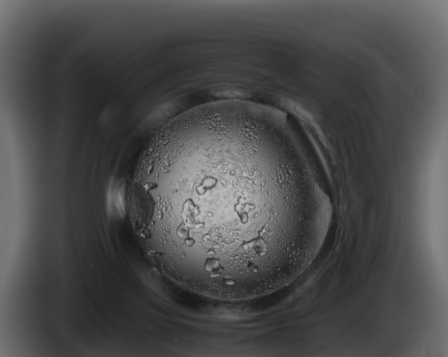 X0000085790069200703231317