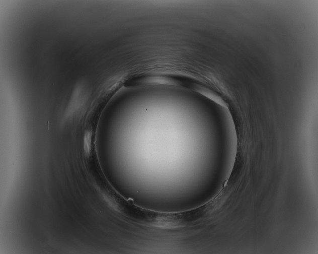 X0000085790070200703231317