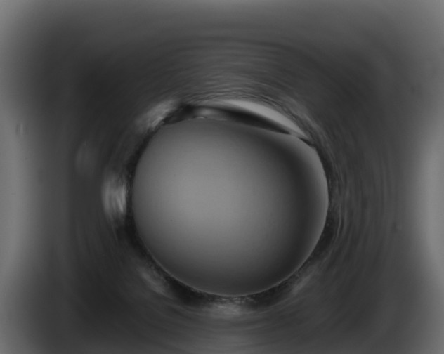 X0000085790076200703231317