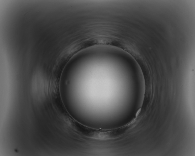 X0000085790078200703231317