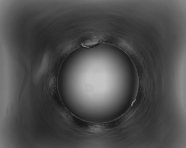 X0000085790079200703231317