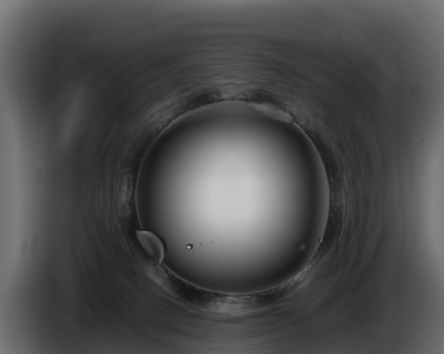 X0000085790082200703231317