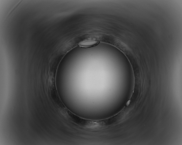 X0000085790083200703231317