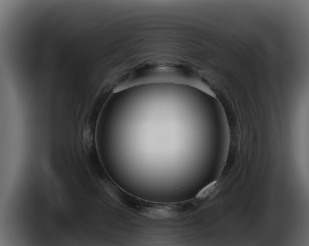 X0000085790086200703231317