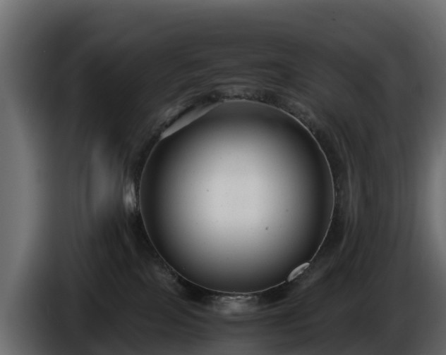 X0000085790089200703231317