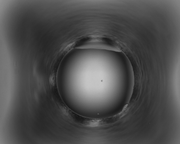X0000085790090200703231317