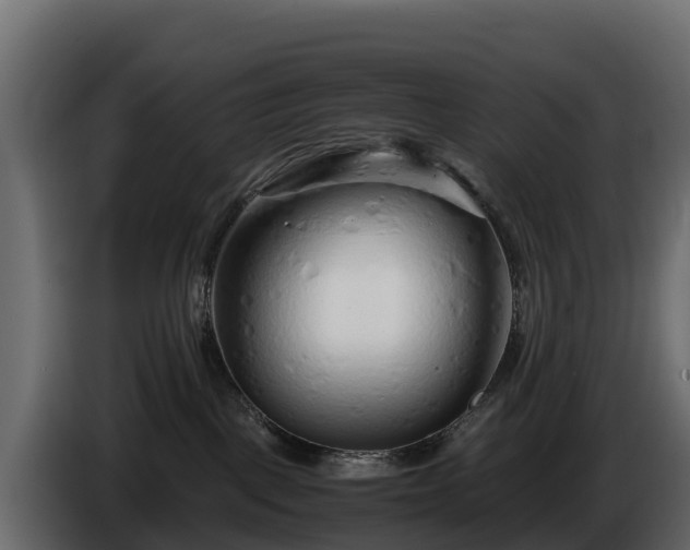 X0000085790093200703231317