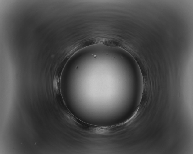 X0000085790094200703231317