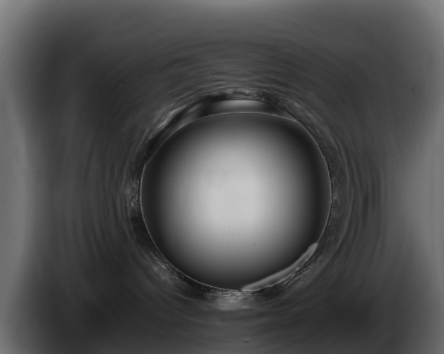 X0000085790096200703231317