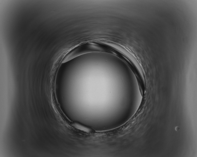 X0000085790097200703231317
