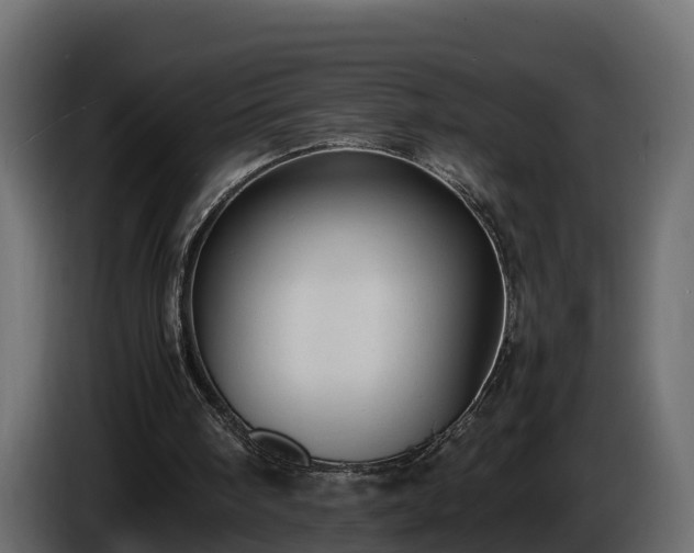 X0000085790098200703231317