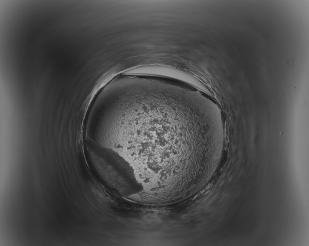 X0000085790099200703231317