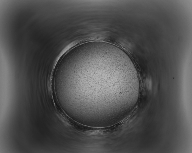X0000085790100200703231316