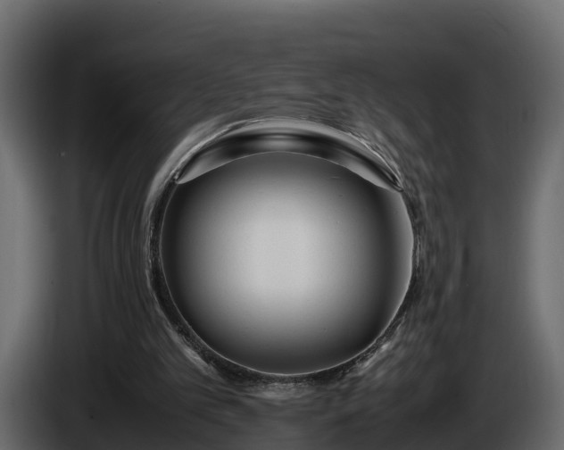 X0000085790101200703231316