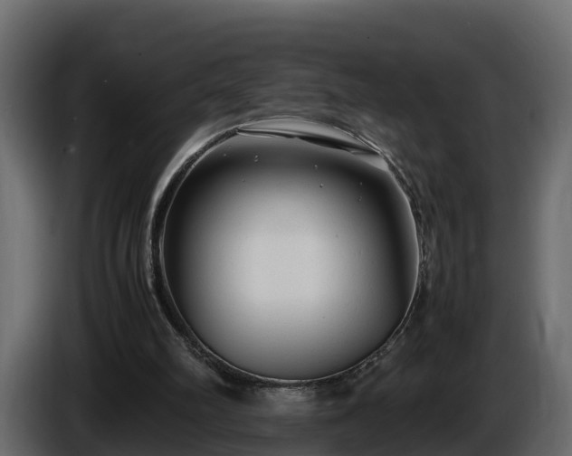 X0000085790102200703231316