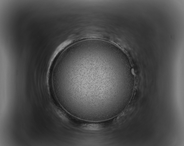 X0000085790104200703231316
