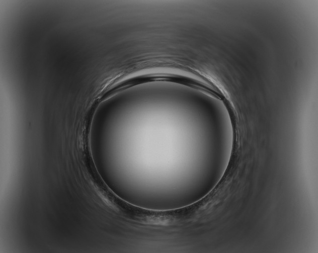 X0000085790105200703231316