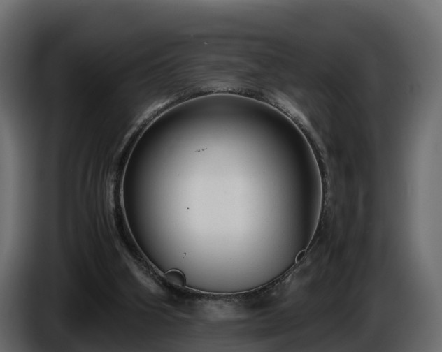 X0000085790106200703231316