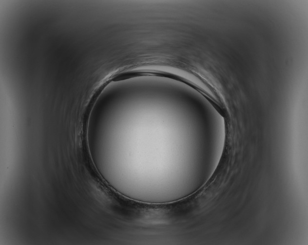X0000085790107200703231316