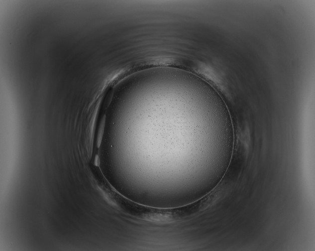 X0000085790110200703231316