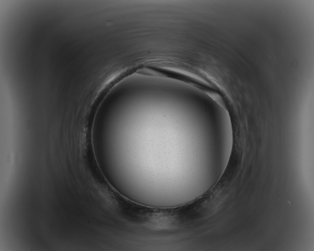 X0000085790111200703231316