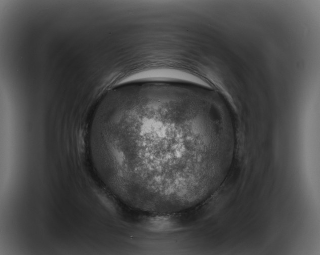 X0000085790114200703231316