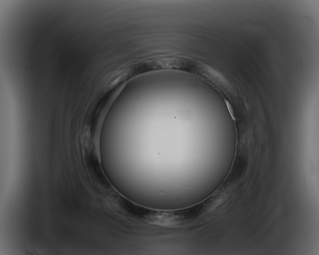 X0000085790121200703231316